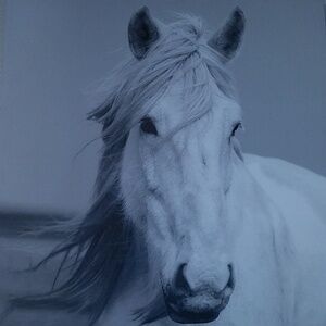 Horse painting